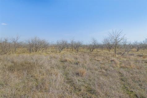 5225 Fm 2001 Buda TX 78610