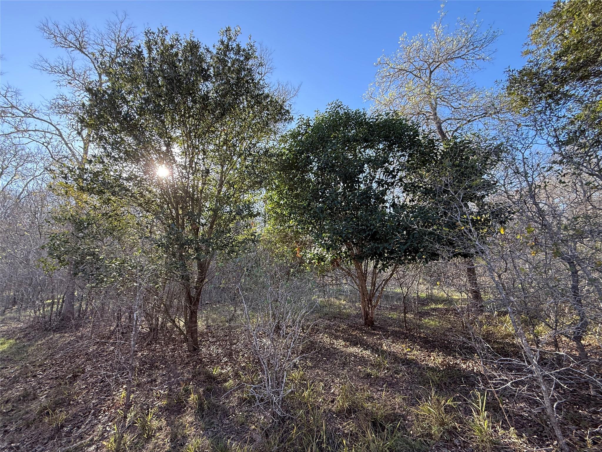 0 Country Club Drive Seguin TX 78155