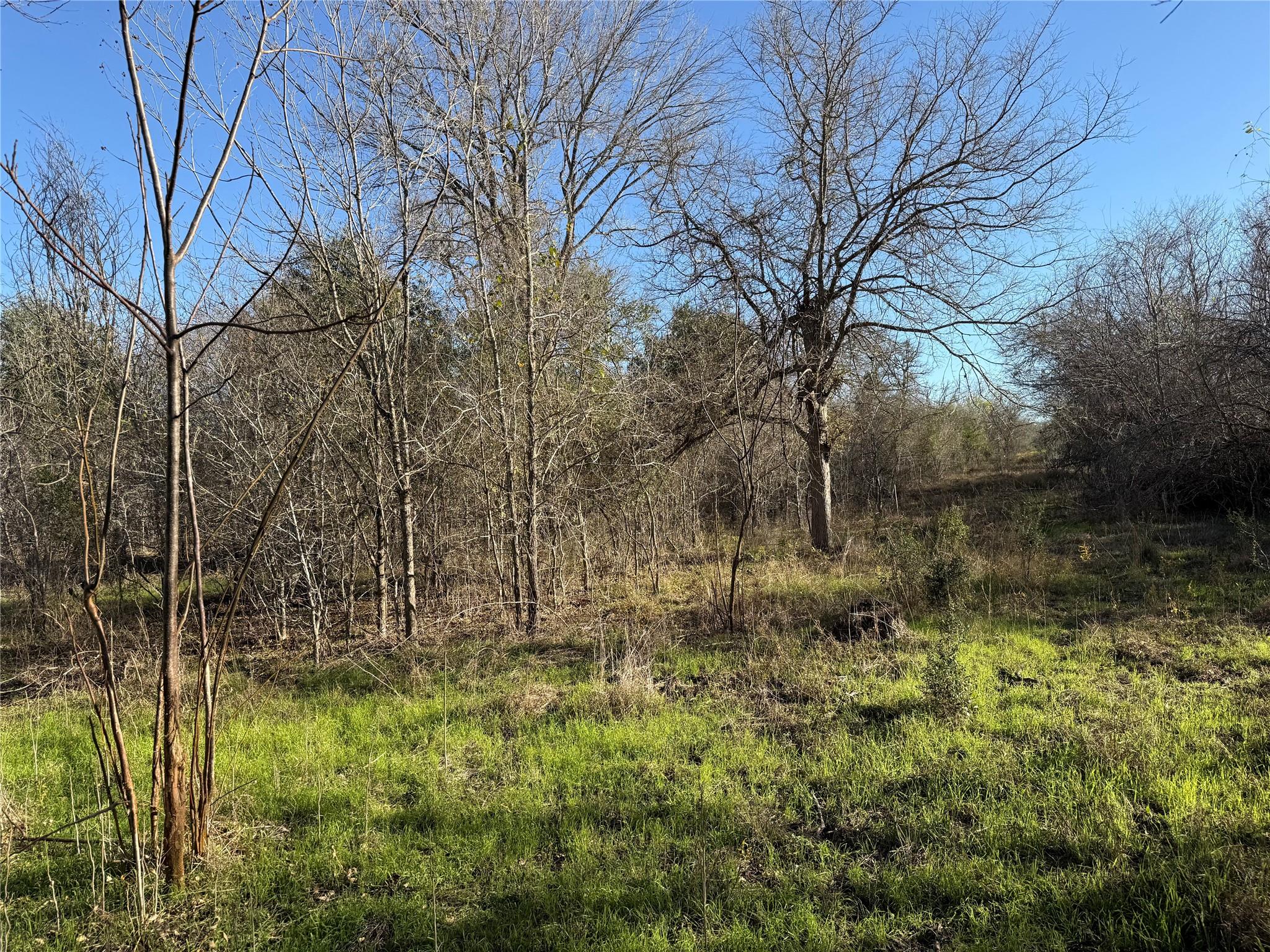0 Country Club Drive Seguin TX 78155