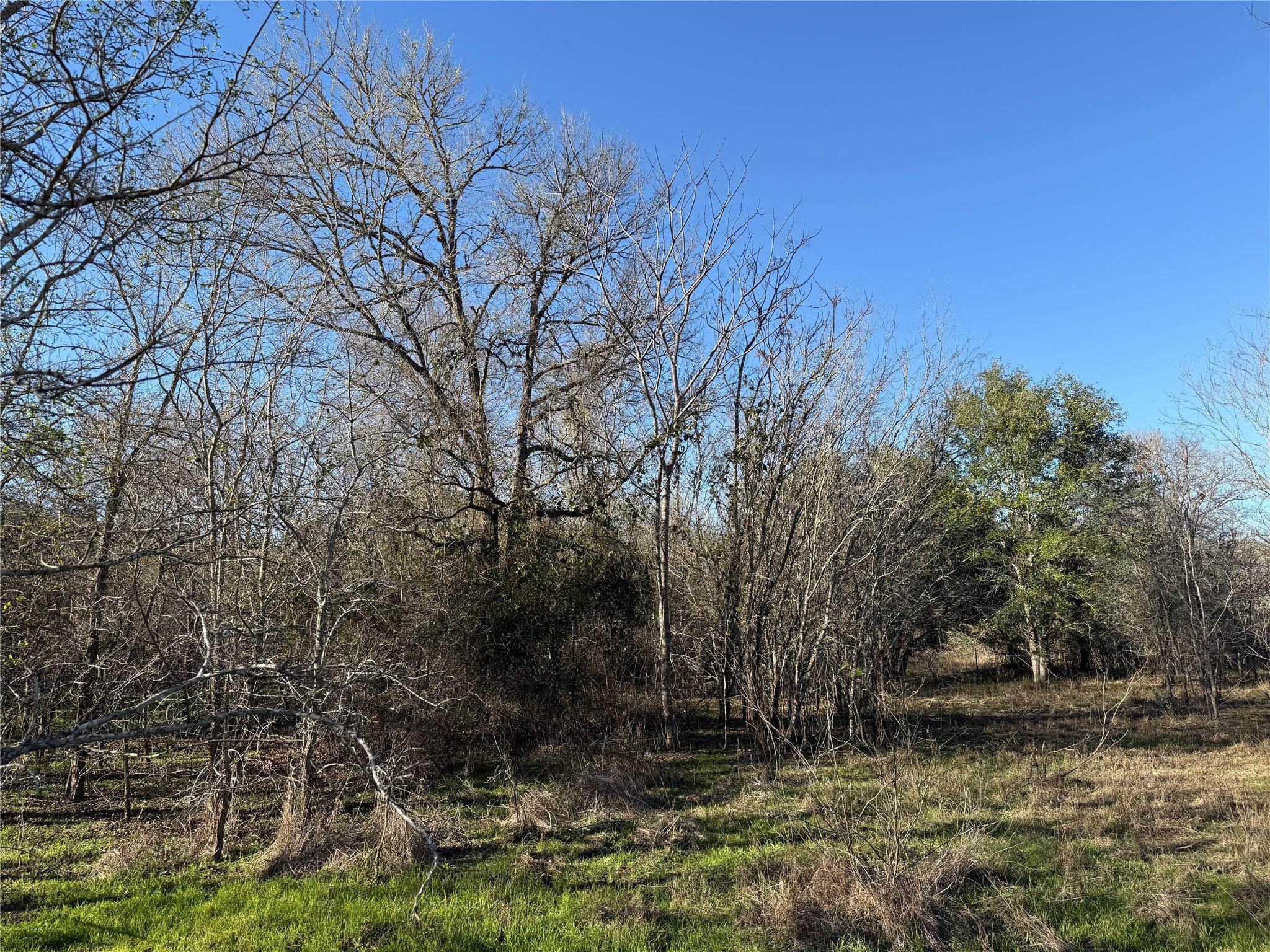 0 Country Club Drive Seguin TX 78155
