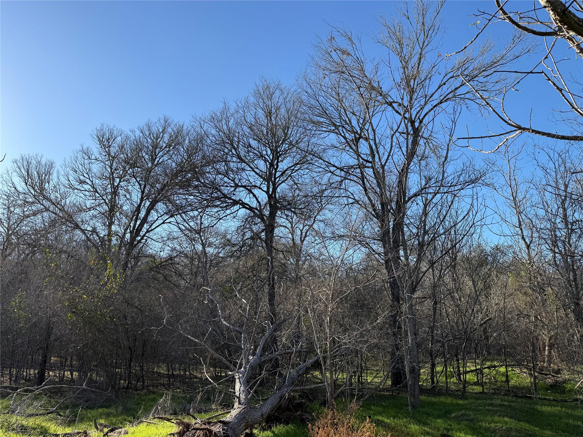 0 Country Club Drive Seguin TX 78155