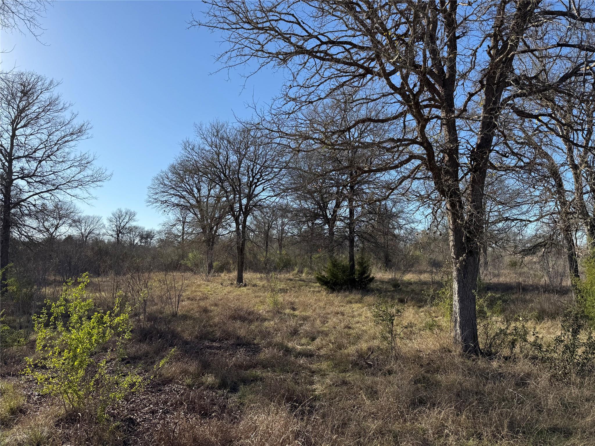0 Country Club Drive Seguin TX 78155