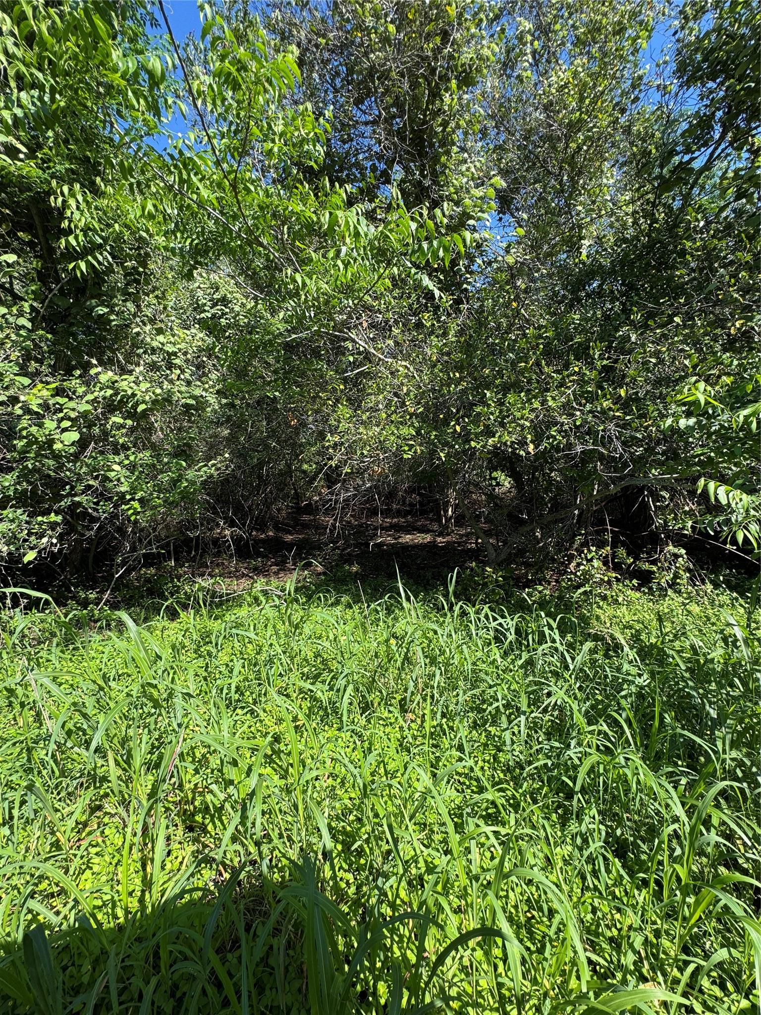 600 Gazley Street Smithville TX 78957