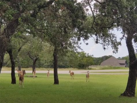 400 W Old Highway 290 Dripping Springs TX 78620