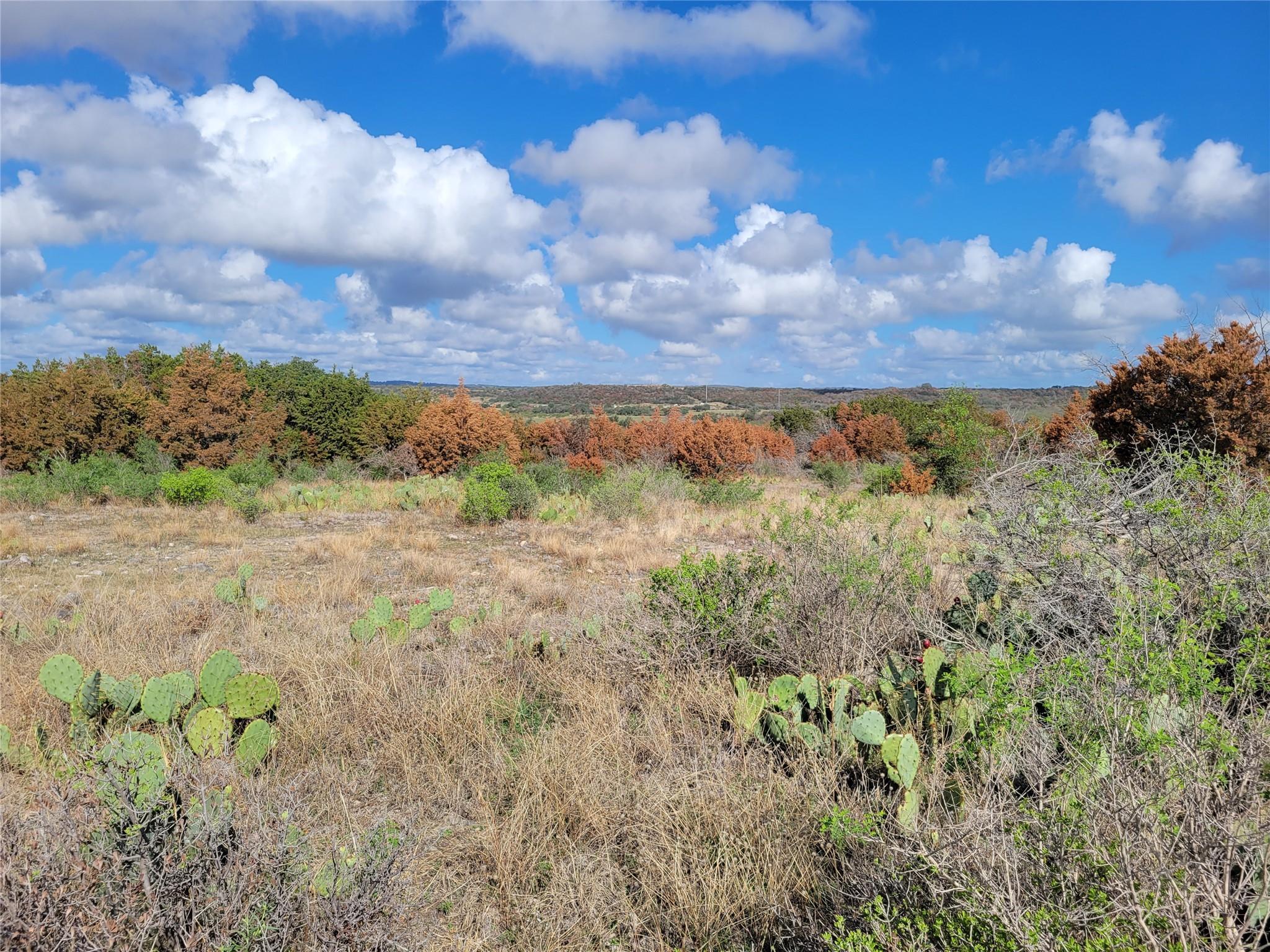 Tbd Fm 1855 Highway Marble Falls TX 78654