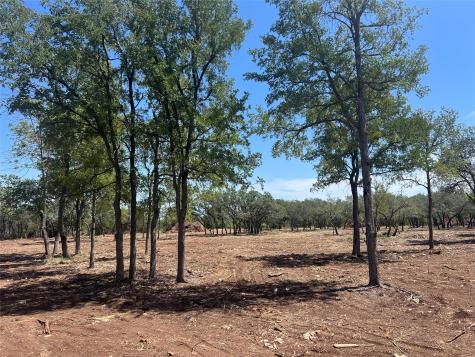 24.17 Acres Trautwein Road Austin TX 78737