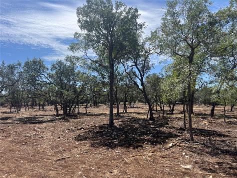 24.17 Acres Trautwein Road Austin TX 78737