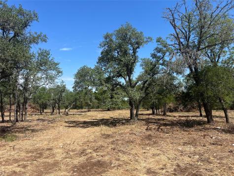 24.17 Acres Trautwein Road Austin TX 78737