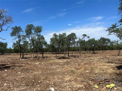 24.17 Acres Trautwein Road Austin TX 78737
