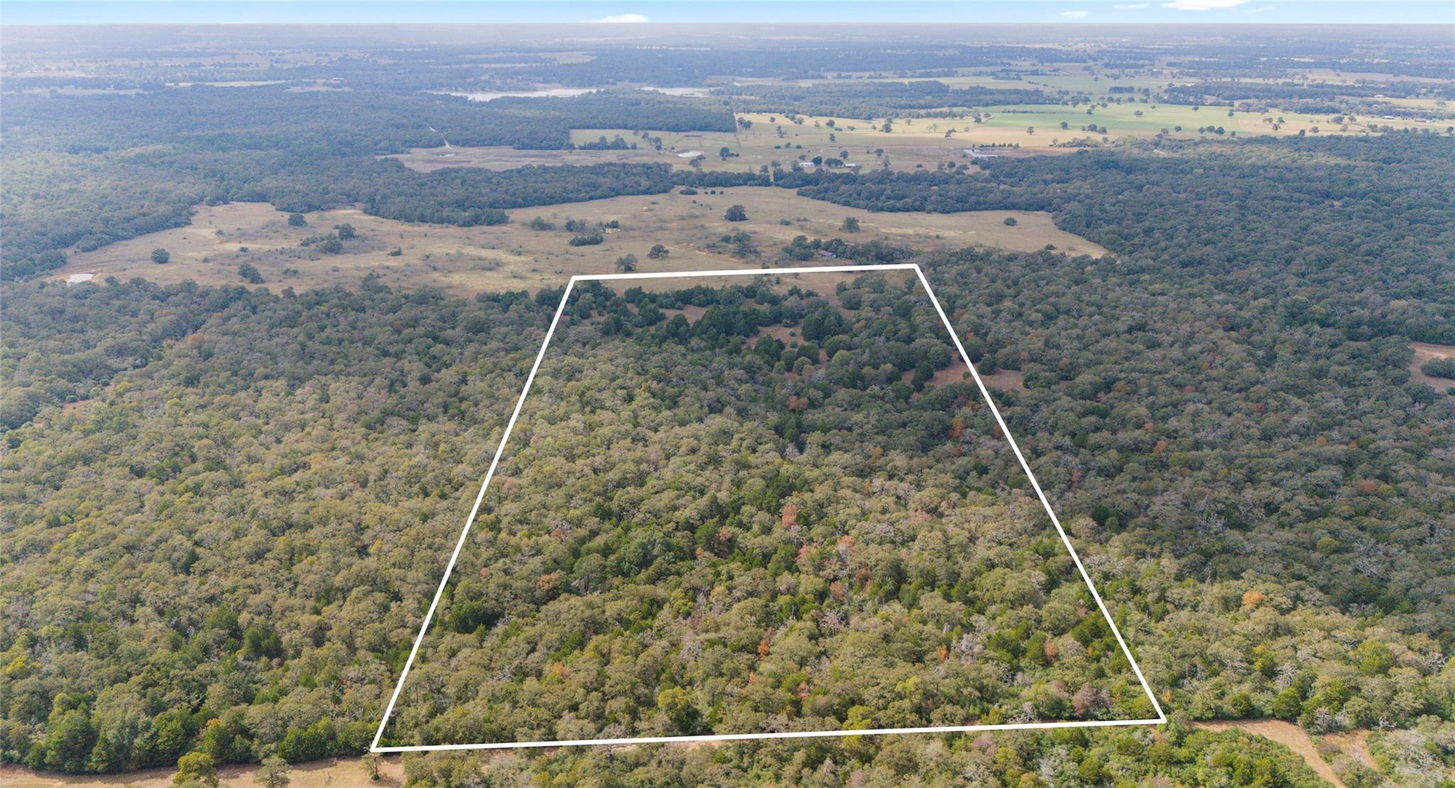 Tbd County Road Lexington TX 78947