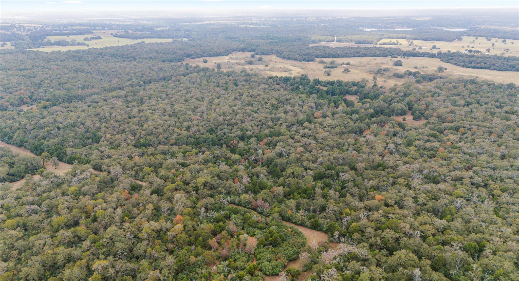 Tbd County Road Lexington TX 78947