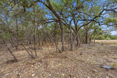 226 Lake Pettit Drive Canyon Lake TX 78133