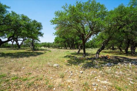 7890 Us 290 Highway Dripping Springs TX 78620