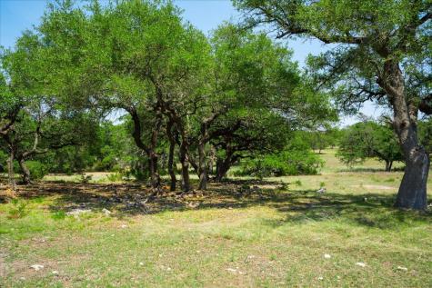 7890 Us 290 Highway Dripping Springs TX 78620