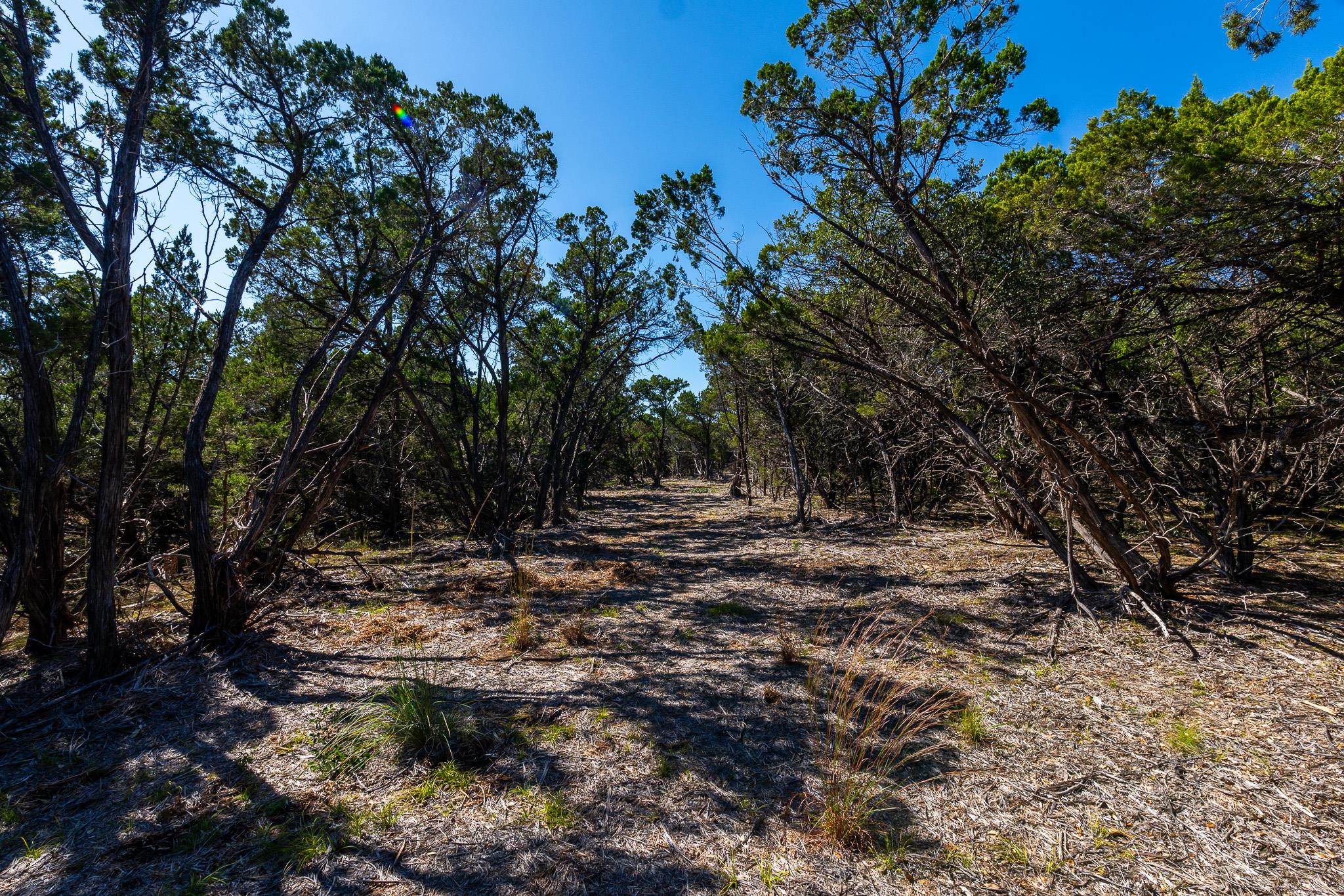 6022 Fm 32 Fischer TX 78623