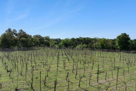 18059 Fm 1826 Road Driftwood TX 78619