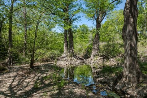 18059 Fm 1826 Road Driftwood TX 78619