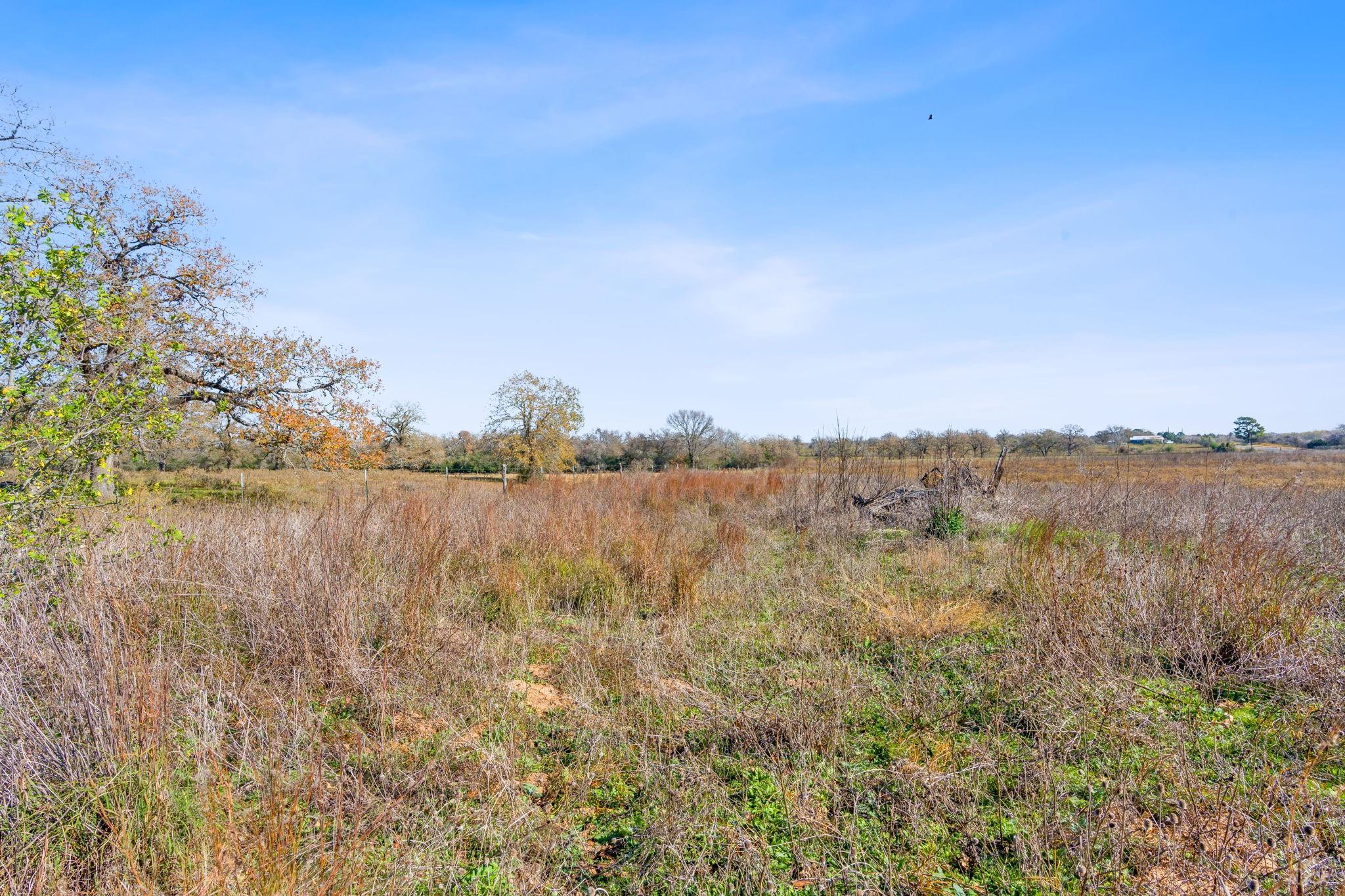 10996 Us Highway 90 W Harwood TX 78632