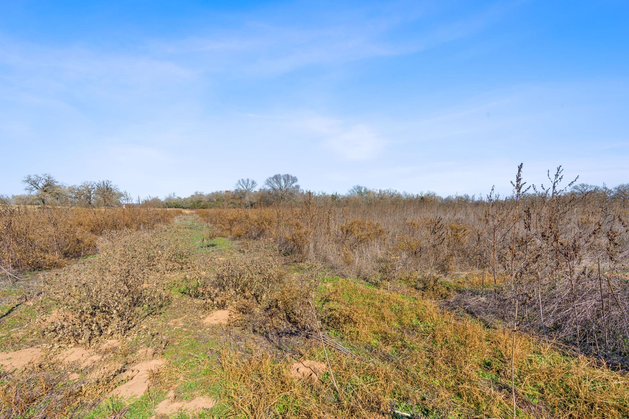 10996 Us Highway 90 W Harwood TX 78632
