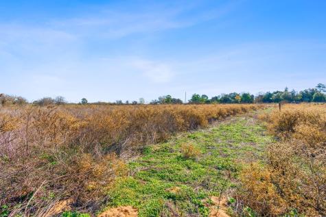 10996 Us Highway 90 W Harwood TX 78632