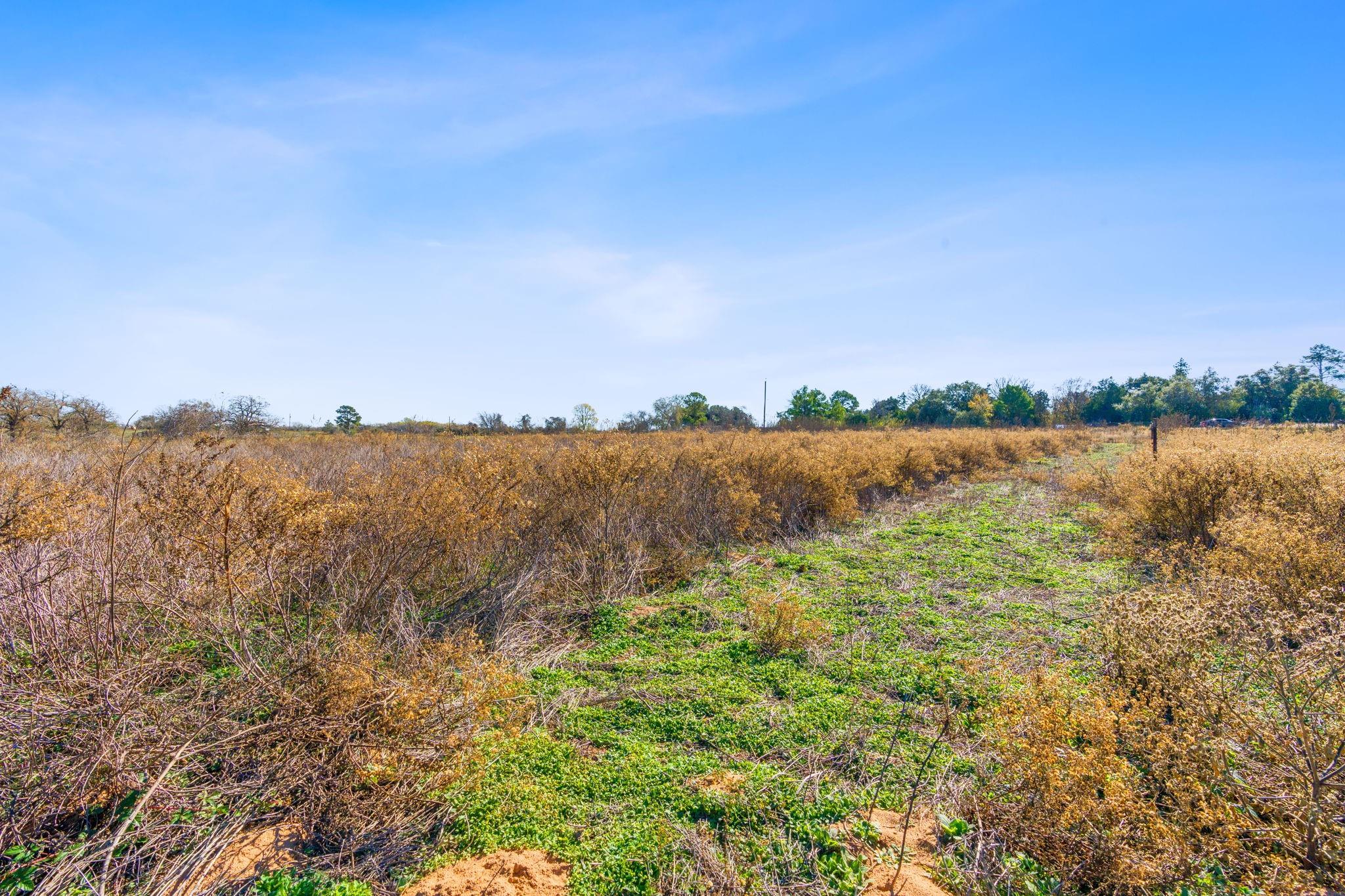 10996 Us Highway 90 W Harwood TX 78632