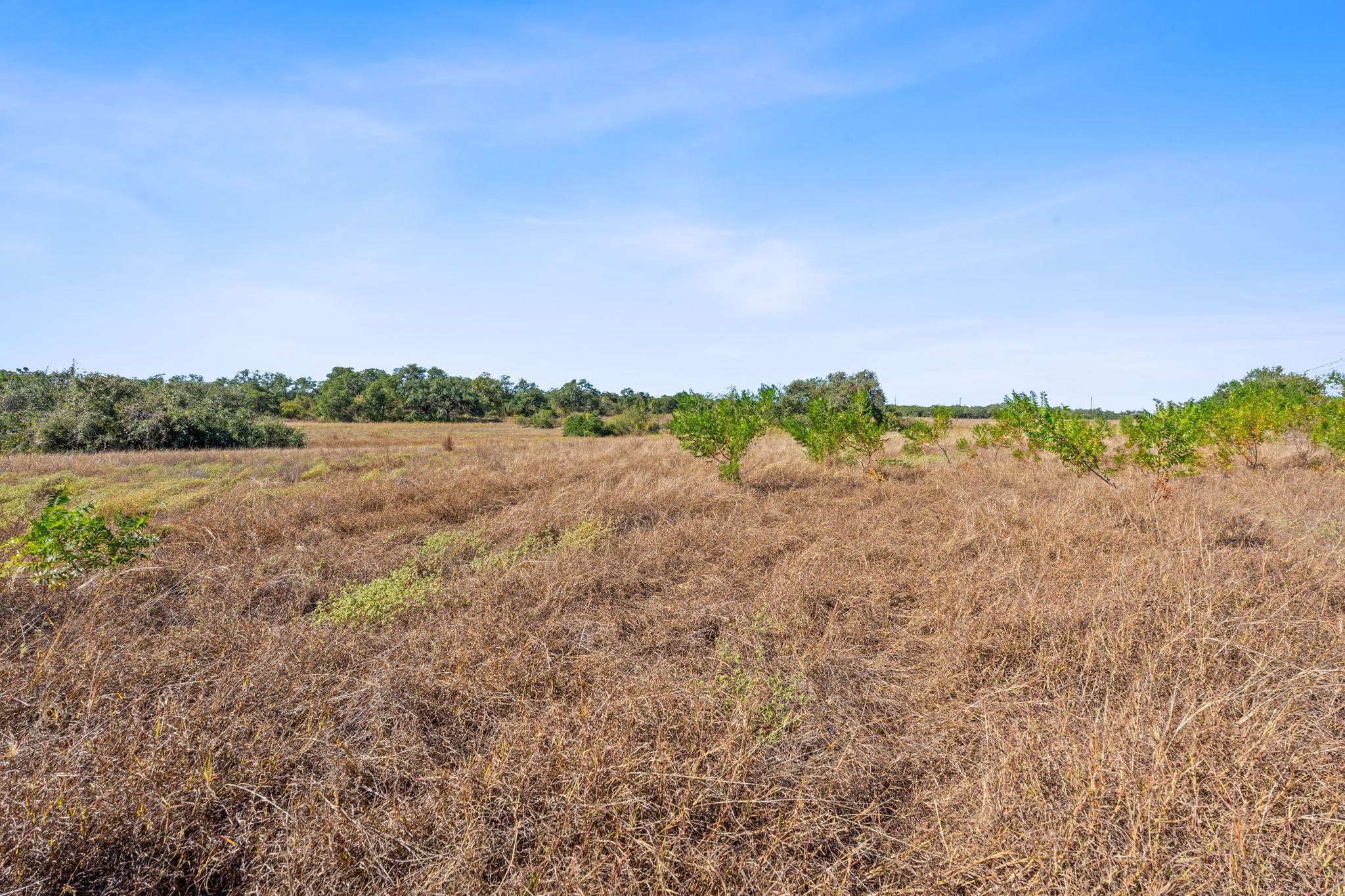 Tbd Fm 2325 Wimberley TX 78676