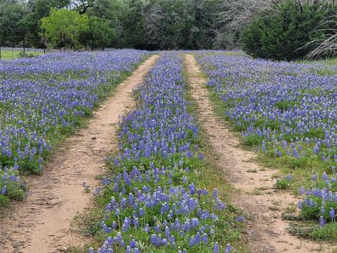 9939 County Road 404 Spicewood TX 78669