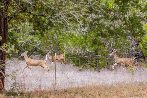 1800 E 290 Highway Dripping Springs TX 78620