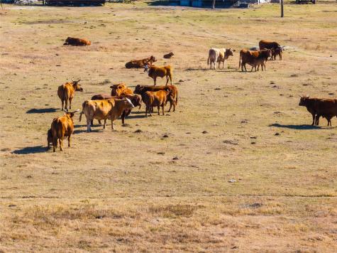 2927 County Road 302 Bartlett TX 76511