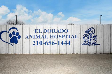 13039 Nacogdoches Road San Antonio TX 78217
