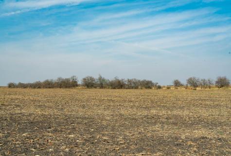 18402 Manda Carlson Road Coupland TX 78615