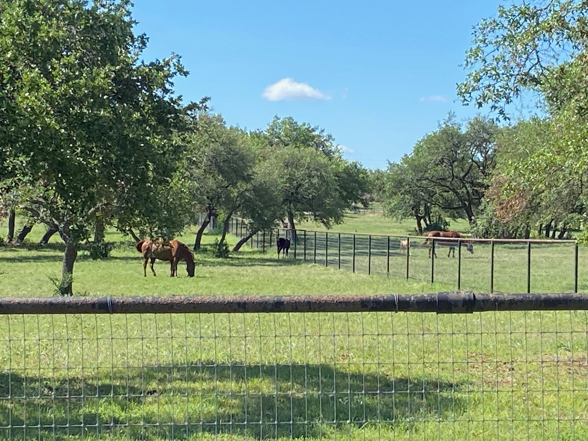 385 Country Lane Dripping Springs TX 78620