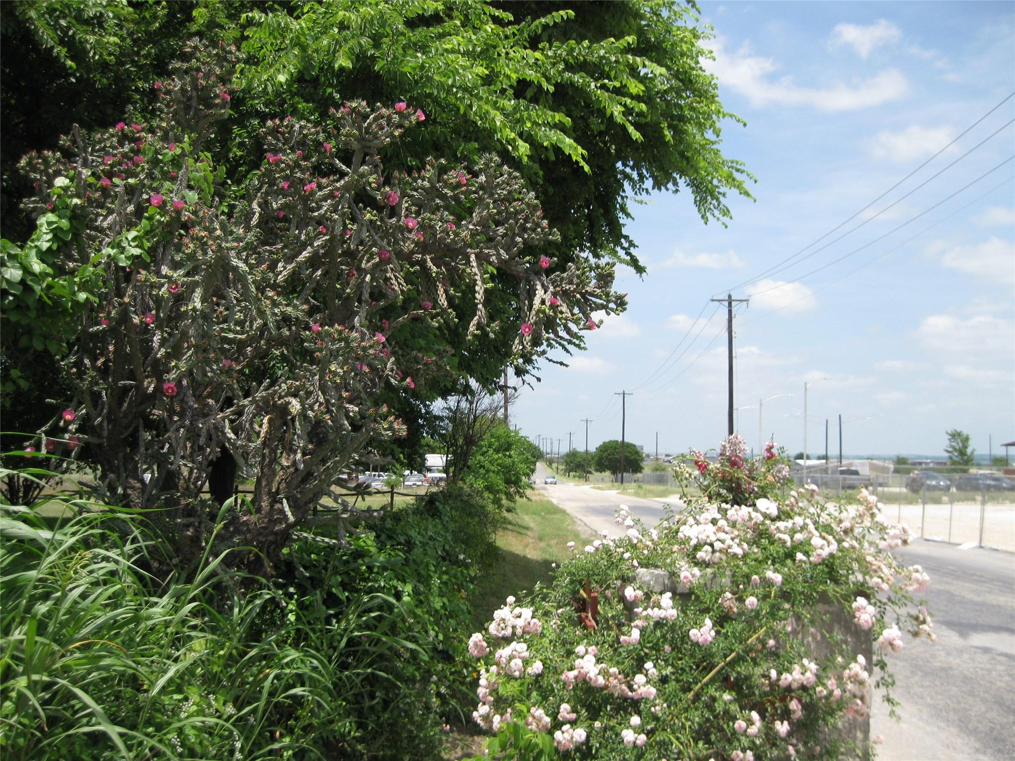 00 County Road 133 Hutto TX 78634
