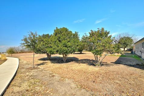 1437 Heidenreich Lane Uhland TX 78640
