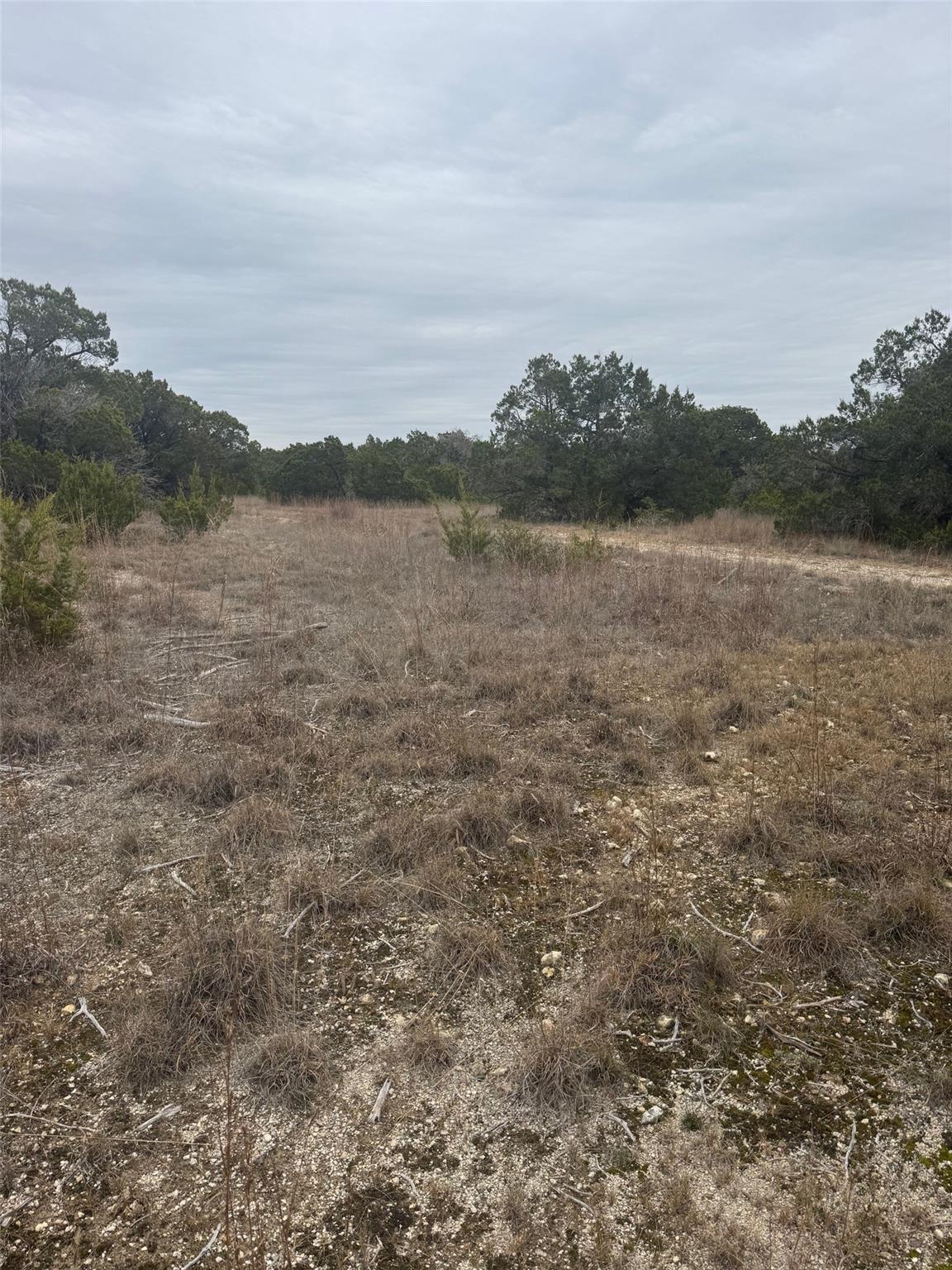 31858 Ranch Road 12 Dripping Springs TX 78620