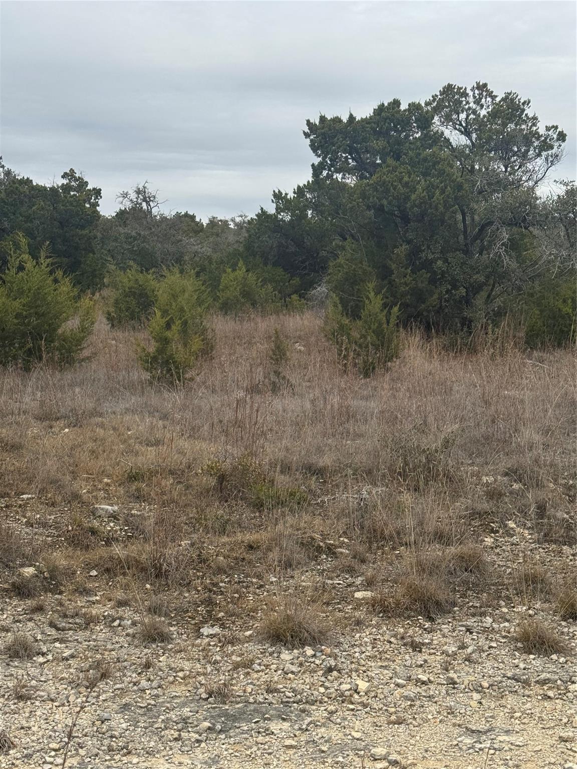31858 Ranch Road 12 Dripping Springs TX 78620