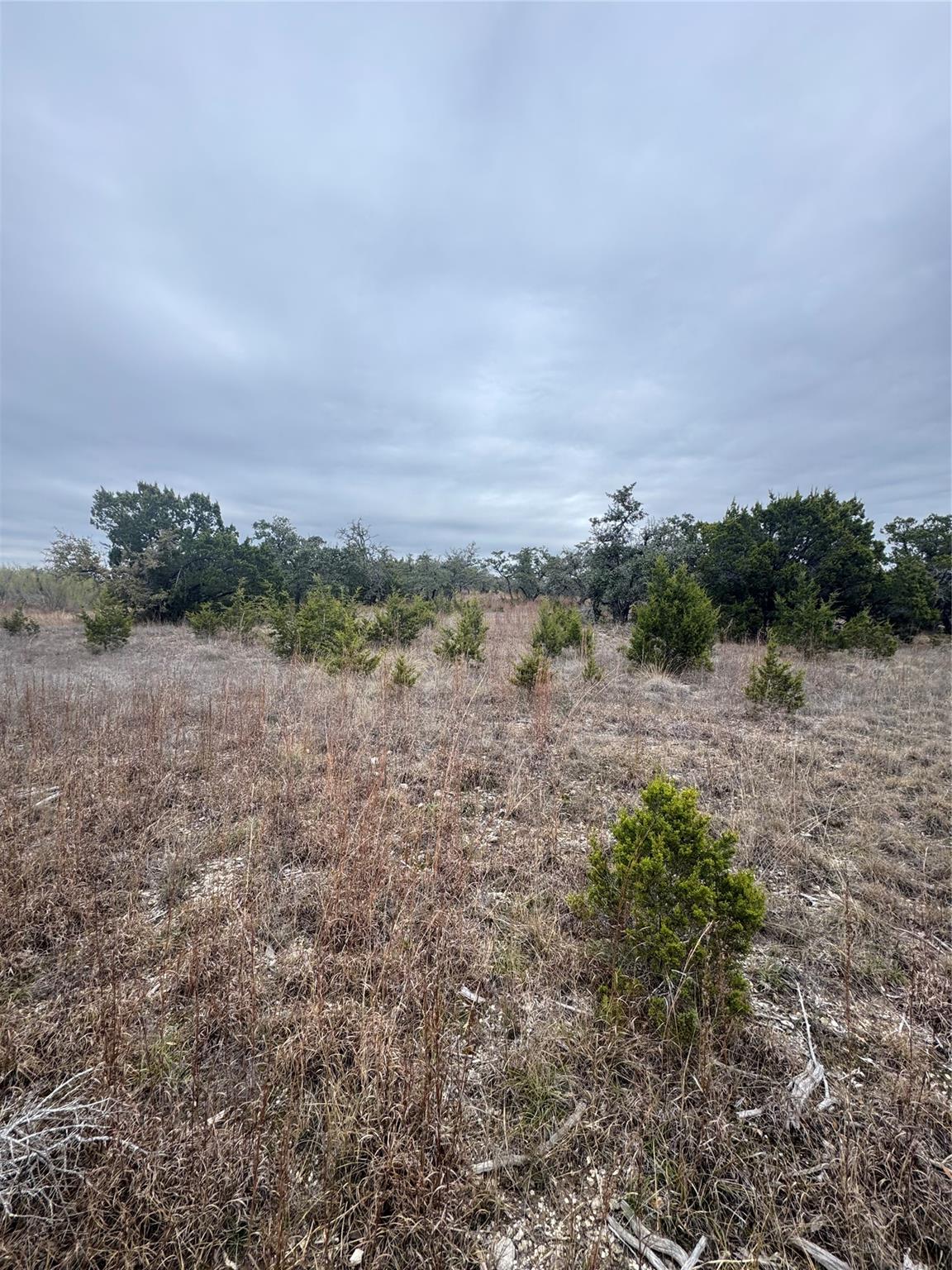 31858 Ranch Road 12 Dripping Springs TX 78620