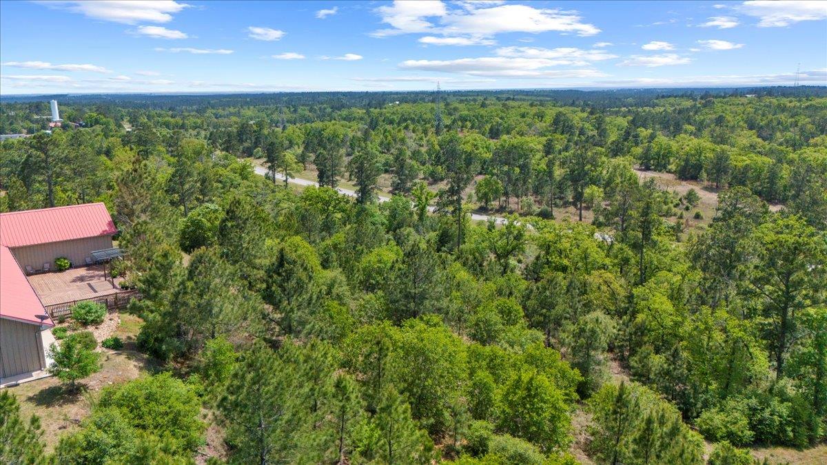 178 Pine Tree Loop Bastrop TX 78602