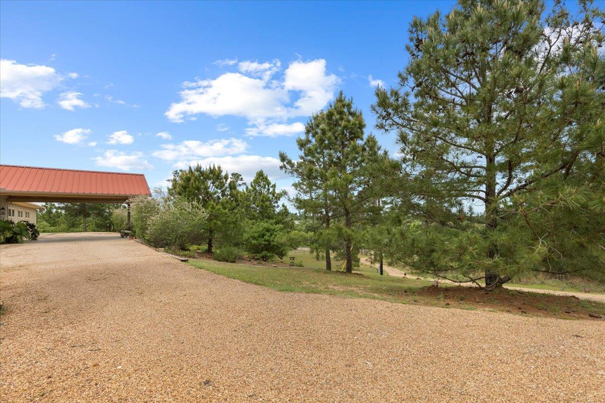 178 Pine Tree Loop Bastrop TX 78602