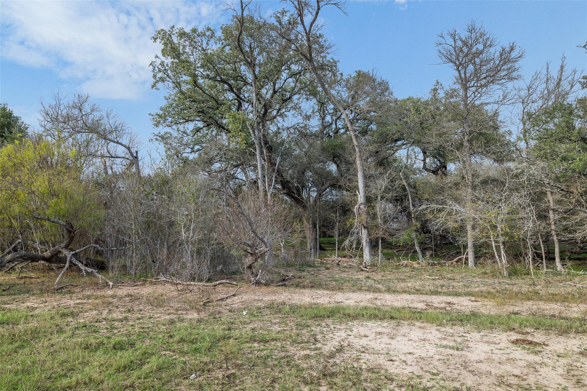 1144 Treetop Lane Luling TX 78648