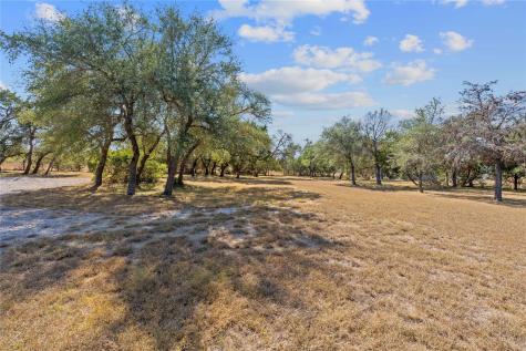 217 Southern Drive Johnson City TX 78636