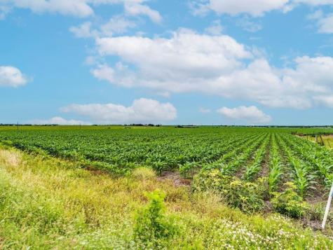 Tbd Fm 973 N Coupland TX 78615