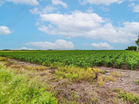 Tbd Fm 973 N Coupland TX 78615