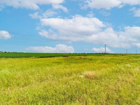 Tbd Fm 973 N Coupland TX 78615