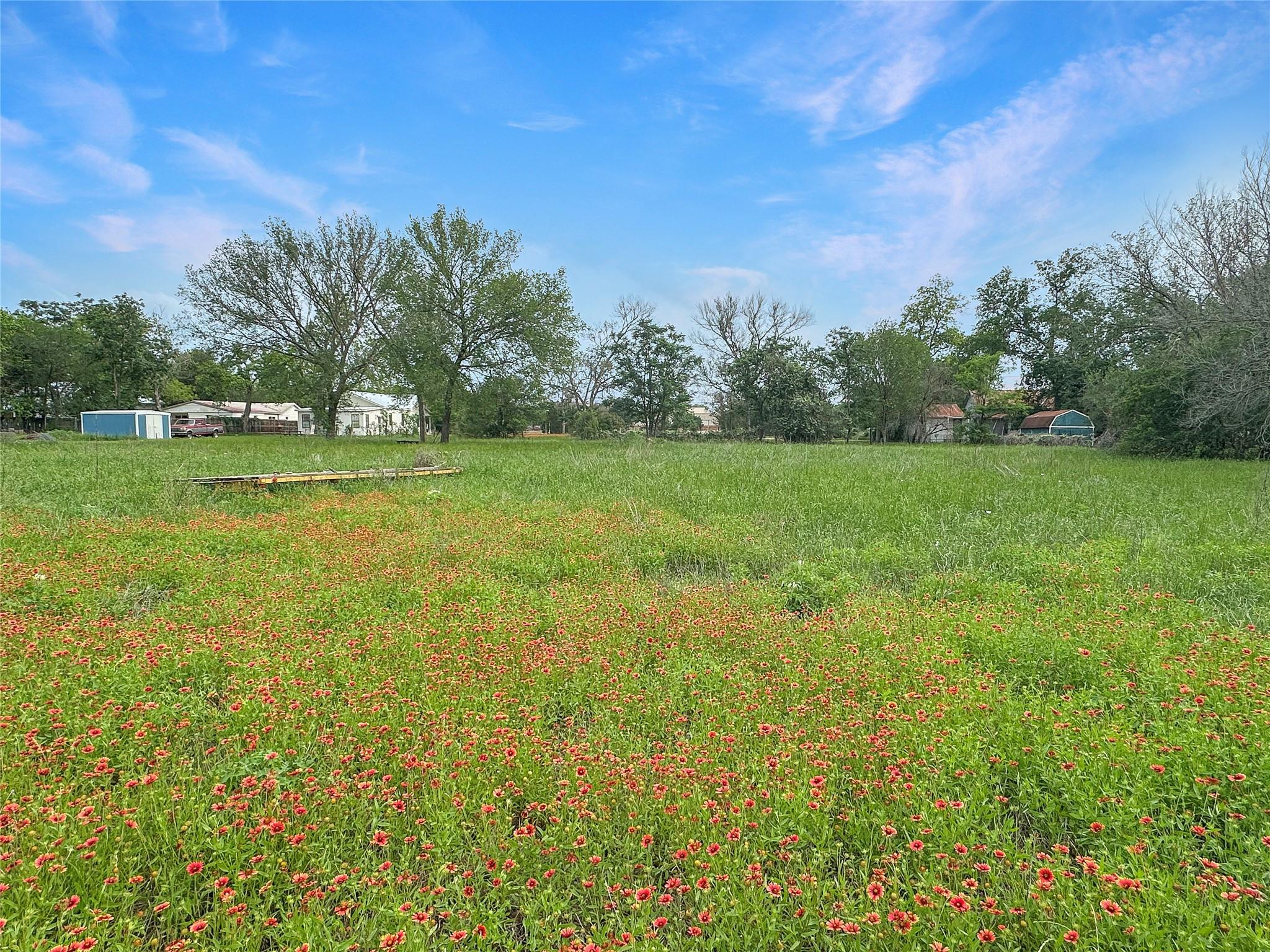 1314 Farm Street Bastrop TX 78602