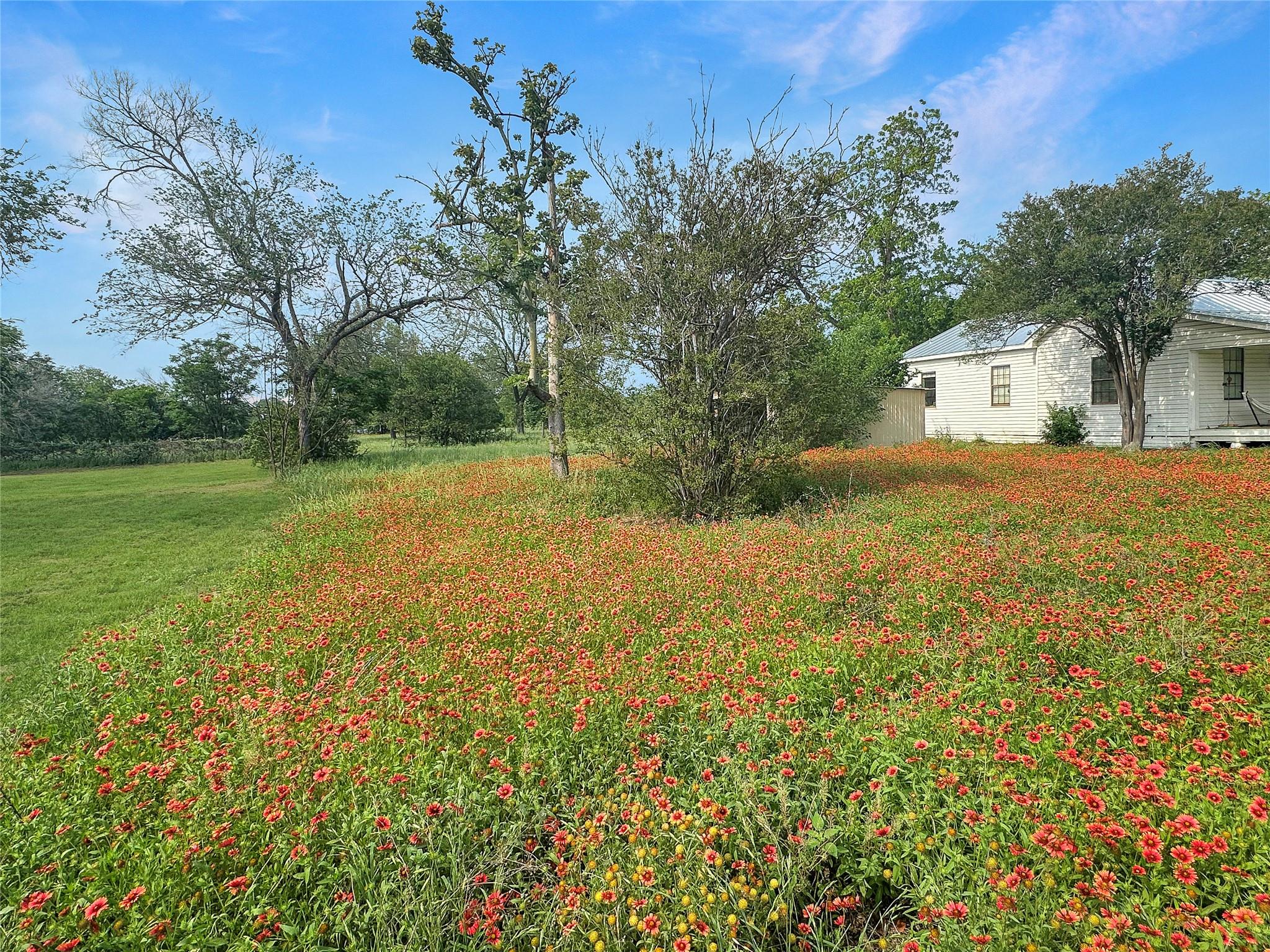 1314 Farm Street Bastrop TX 78602