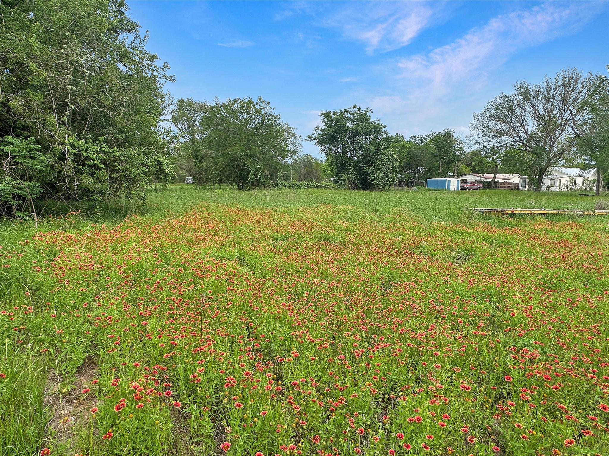 1314 Farm Street Bastrop TX 78602