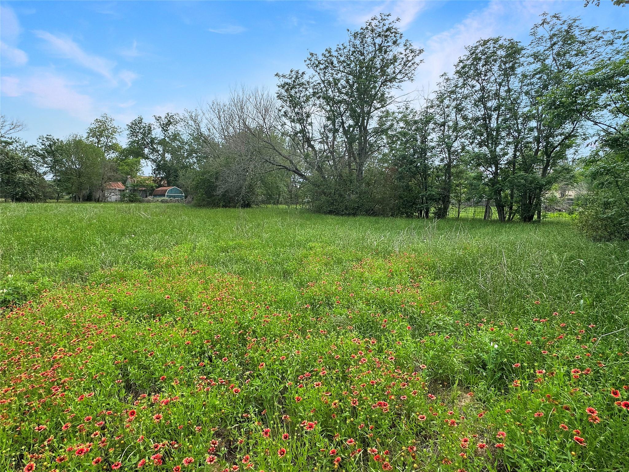 1314 Farm Street Bastrop TX 78602