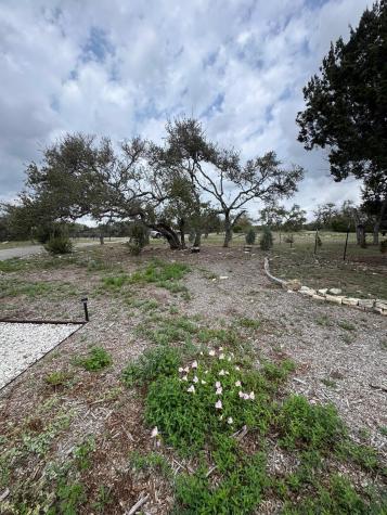 11605 Fitzhugh Road Austin TX 78736