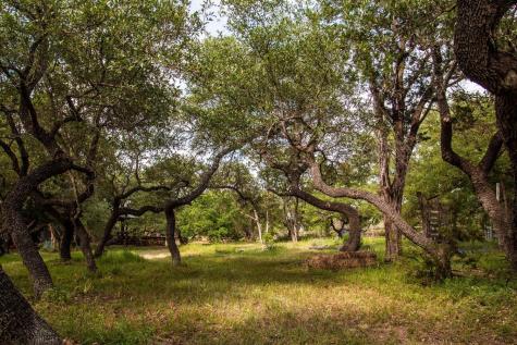 13127 Fitzhugh Road Austin TX 78736